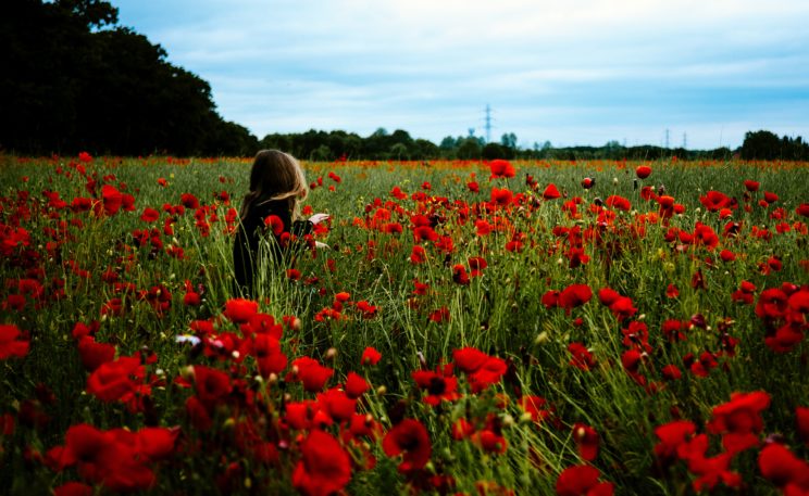 dorothy in the field of poppies